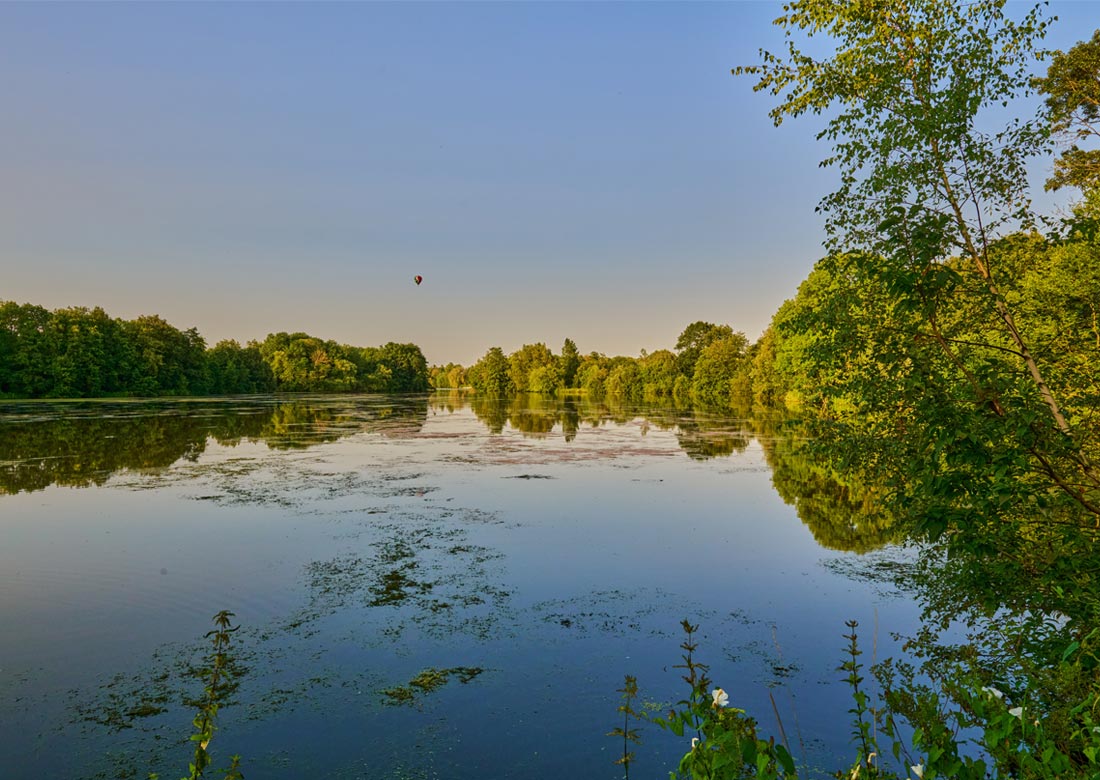 Blaualgenbefall am Pröbstingsee - Foto: pd