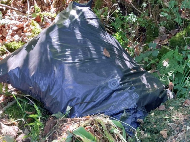 Erneut Umweltverschmutzung im Burlo-Vardingholter Venn