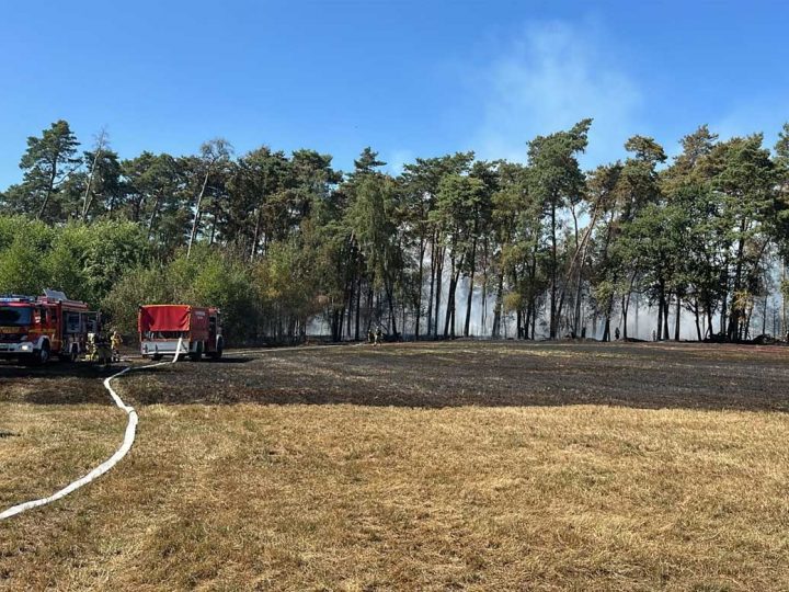 Feld- und Waldbrand im Bereich Hoxfeld/Rhedebrügge