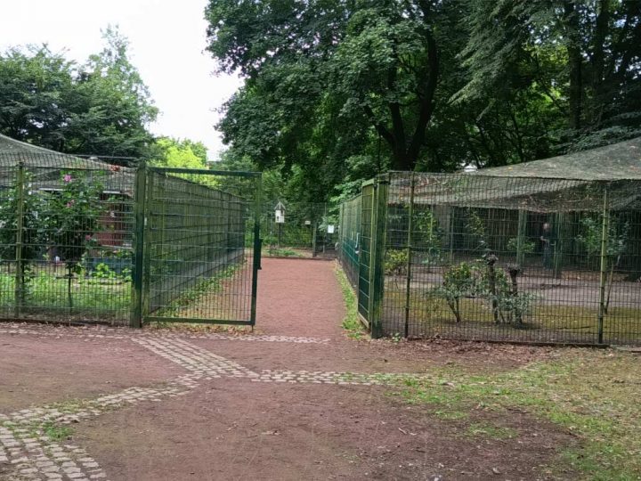 Federfreunde Borken geben mangels Unterstützung Vogelgehege im Stadtpark auf