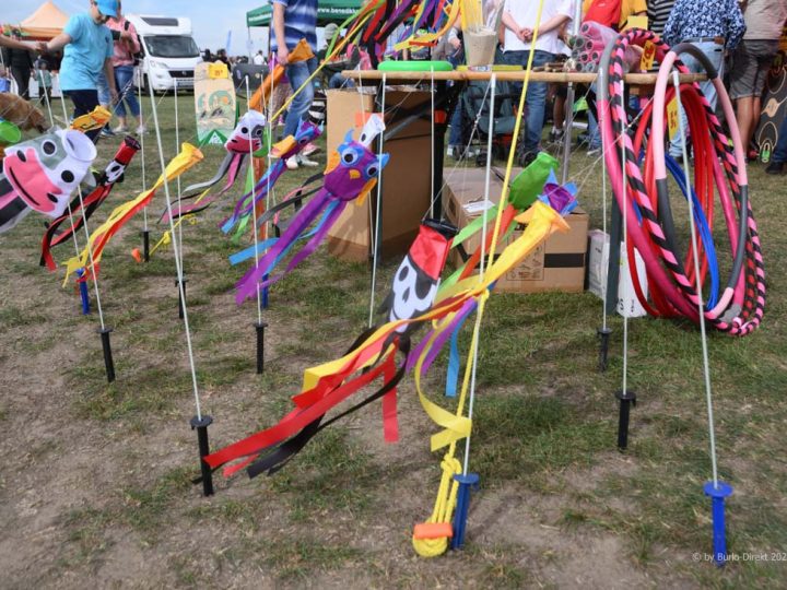 Luftsportverein Borken – Buntes Drachenfest bei hochsommerlichem Flugwetter (Fotostrecke)