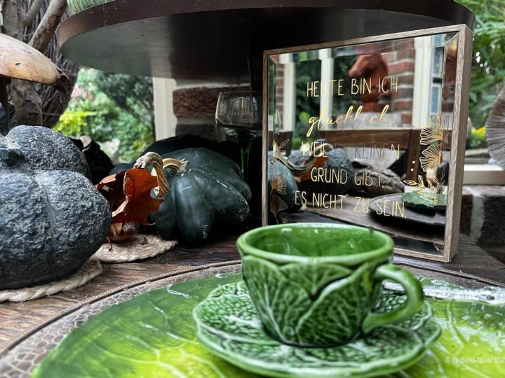 Letzter Gartentag im „Garten Picker“ – Mit der Kamera auf Entdeckungstour